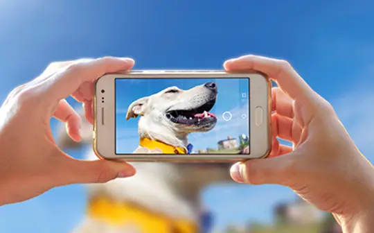 写真素材のご提供