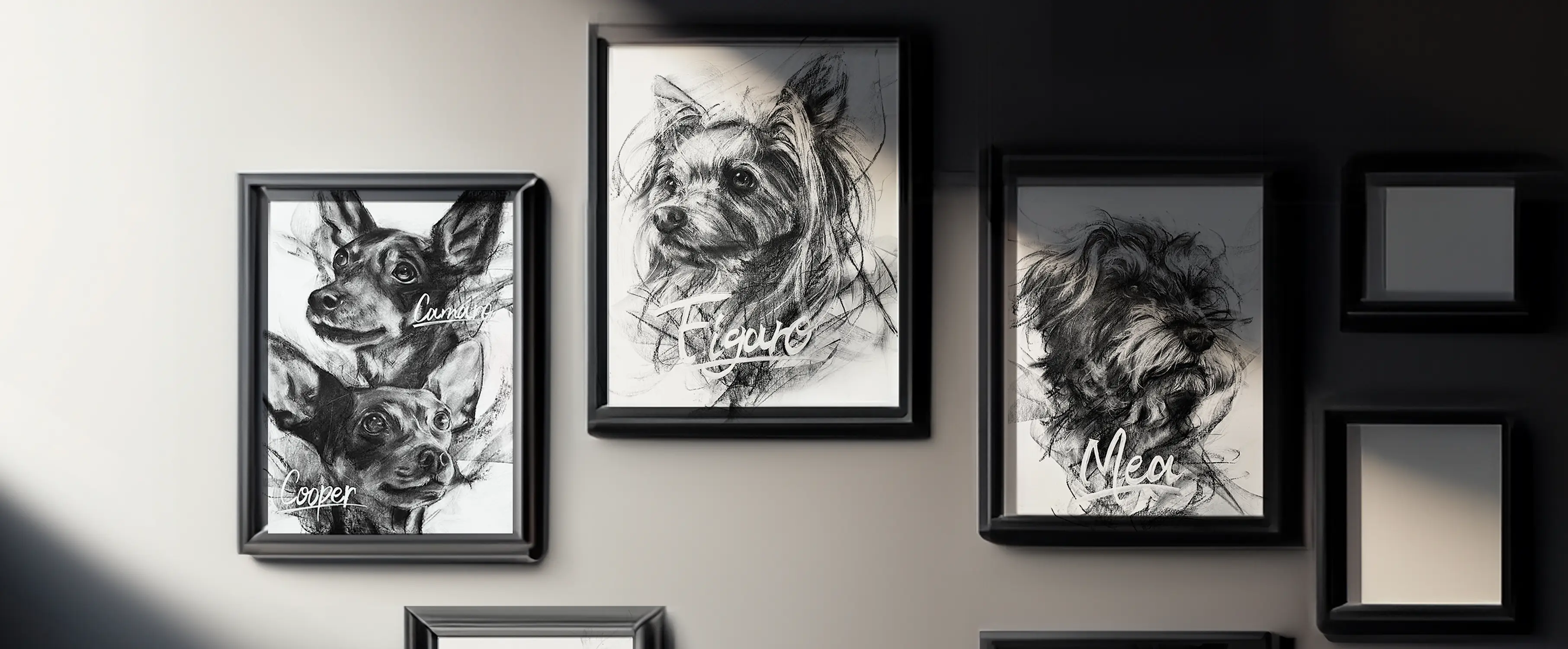 ホームページを開設しました