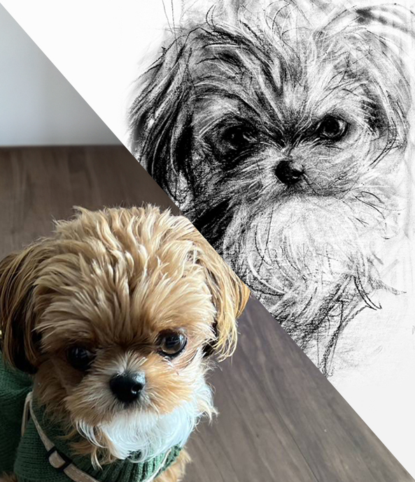 I.E様のマルチーズ×チワワ