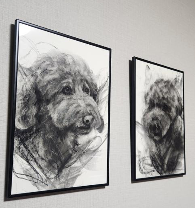 K.M様のスタンダードプードル